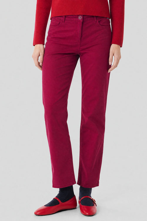 Pantalon droit TAYLOR - coton - Le Comptoir Maritime - 2