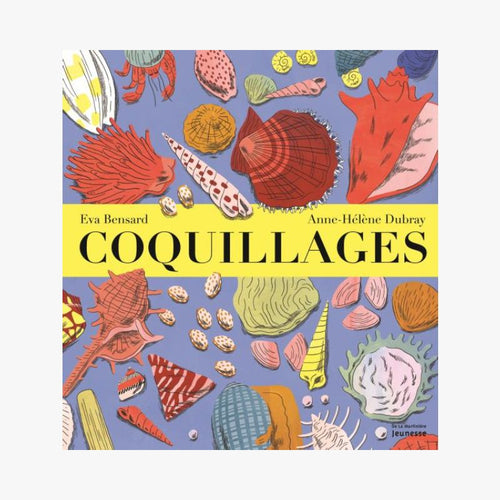 Coquillages - Le Comptoir Maritime - 1