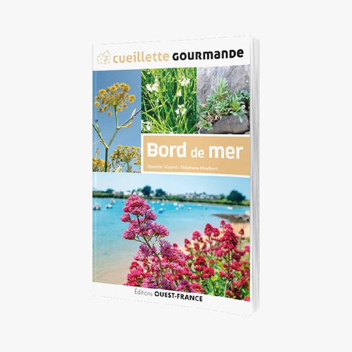 CUEILLETTE GOURMANDE - Le Comptoir Maritime - 1