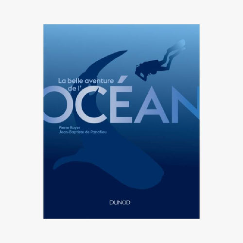 LA BELLE AVENTURE DE L