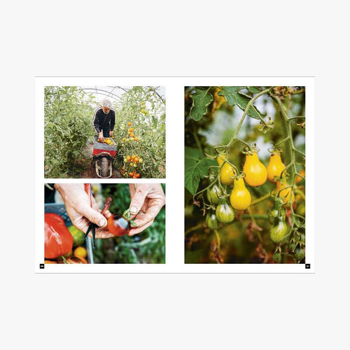 BREIZH FOOD CUISINE BRETONNE - Le Comptoir Maritime - 5