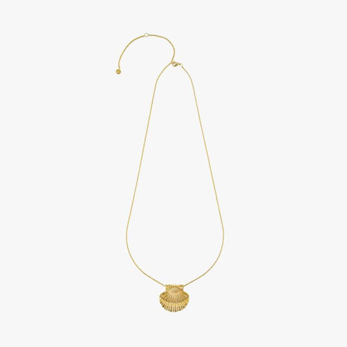 COLLIER COQUILLE SAINT-JACQUES - Le Comptoir Maritime - 1