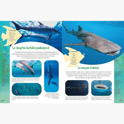 Mon grand animalier de la mer - Le Comptoir Maritime - 4