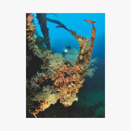 PLONGER DANS LES MERS DU MONDE - Le Comptoir Maritime - 2