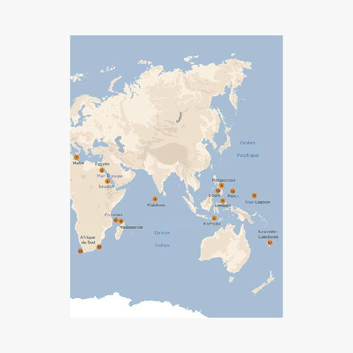 PLONGER DANS LES MERS DU MONDE - Le Comptoir Maritime - 4