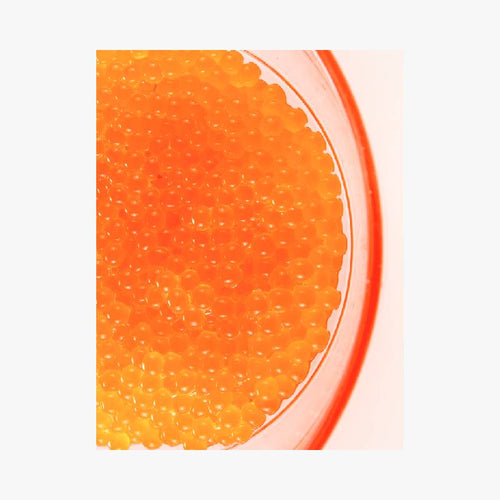 POISSONS ET FRUITS DE MER - Le Comptoir Maritime - 4