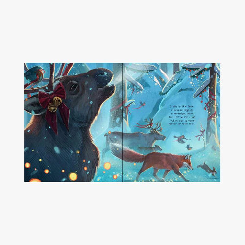 ALBUMS ILLUSTRES LE NOEL ET MOI - Le Comptoir Maritime - 2